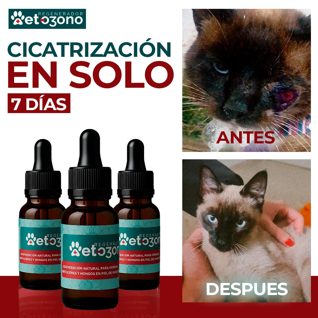 VetOzono 🐾 Regeneración natural para Mascotas