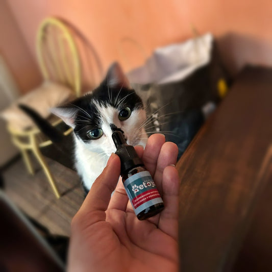 Regeneración natural para Mascotas - VetOzono